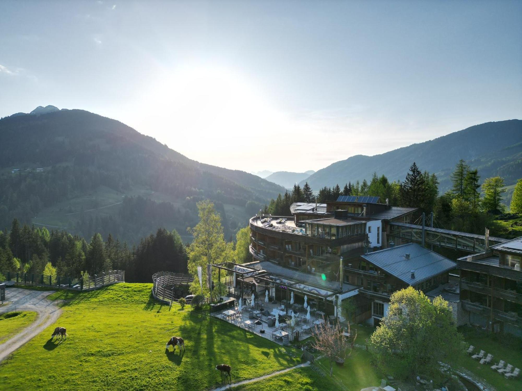 Holzhotel Forsthofalm ลีโอกัง ภายนอก รูปภาพ